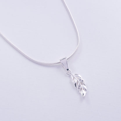 Dije de pluma en Plata